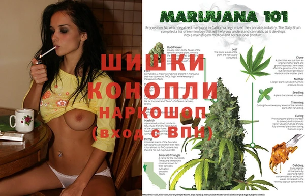 экстази Осташков